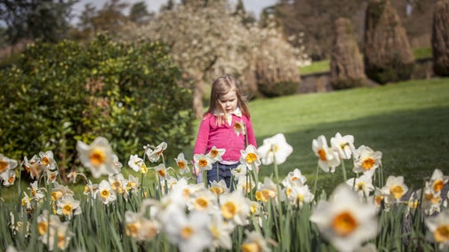 Girl enjoying the gardens in Blossom at Tyntesfield, North Somerset.